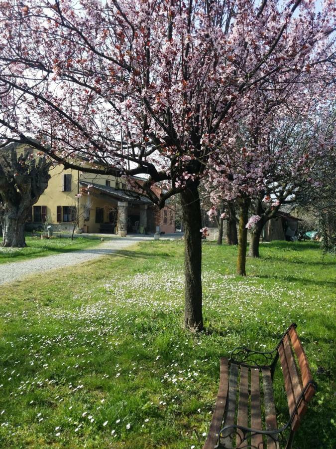 R&B Albero Cavo Parma Acomodação com café da manhã Exterior foto