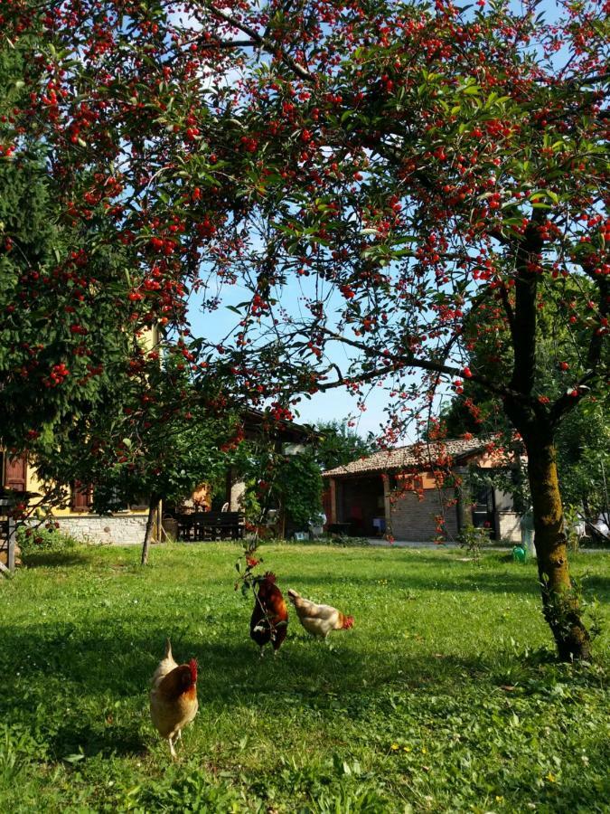 R&B Albero Cavo Parma Acomodação com café da manhã Exterior foto