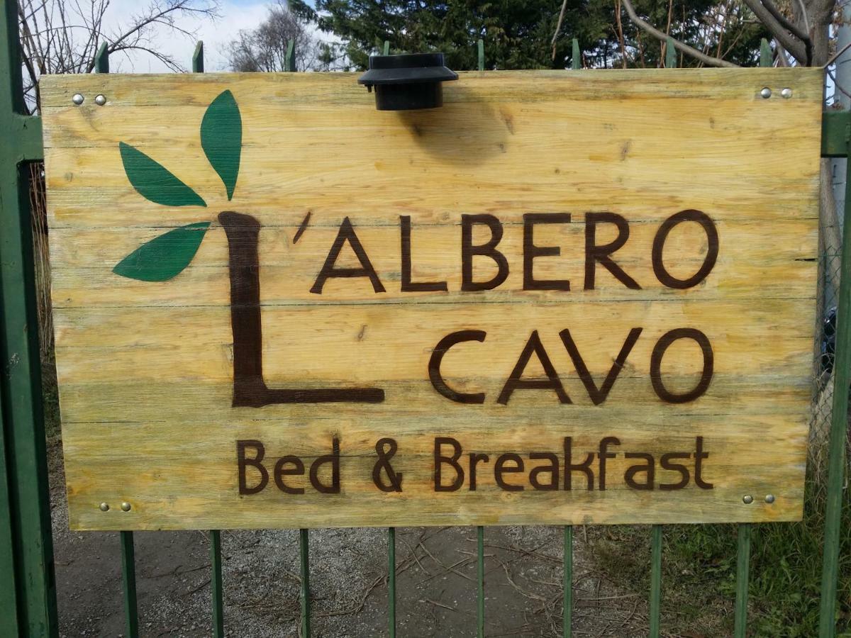 R&B Albero Cavo Parma Acomodação com café da manhã Exterior foto